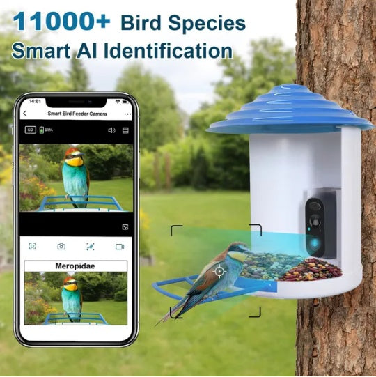 Smart Bird Feeder With Solar Powered 1080P Camera, AI Identify, PIR Motion, Two-Way Audio (IP65)