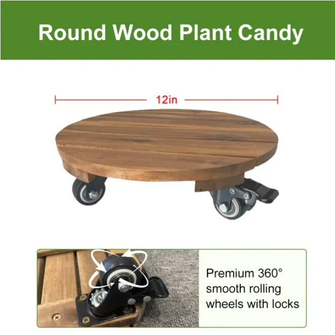 Coocosh Plant Caddy features a round wood design with a smooth, warm tone. It has 360° rolling wheels with locks, and measures 12 inches. A practical and stylish plant stand.