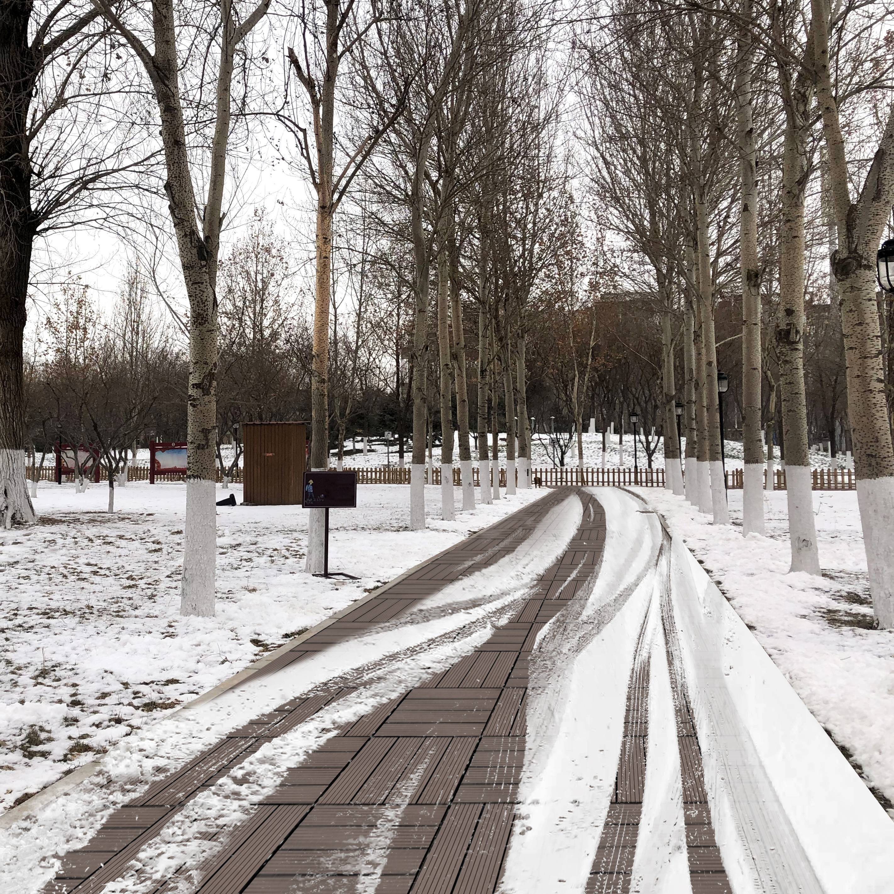 Coocosh Winter Landscape Photo featuring a snow-covered pathway lined by trees with white trunks, showcasing a serene outdoor scene in muted colors, evoking a peaceful winter ambiance.