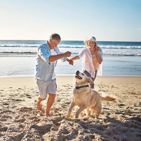 Dog Training Collar Receiver IP67 Waterproof — Shock, Vibration & Beep, Up to 3280ft