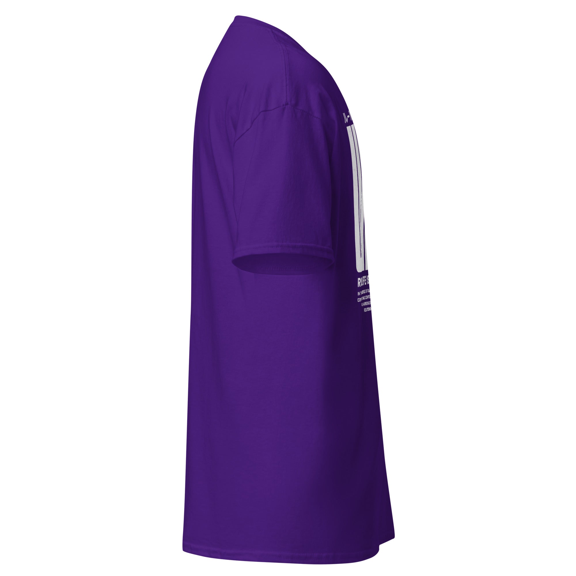 Coocosh's elegant purple unisex classic tee, designed for effortless layering and streetwear style. Crafted from 100% breathable cotton, it offers a comfortable fit and durable construction, perfect for expressing individuality without rules from any angle.